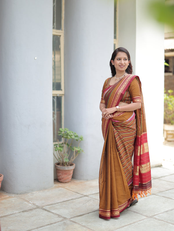 Parampara Ilkal Saree