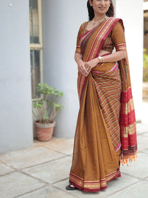 Parampara Ilkal Saree