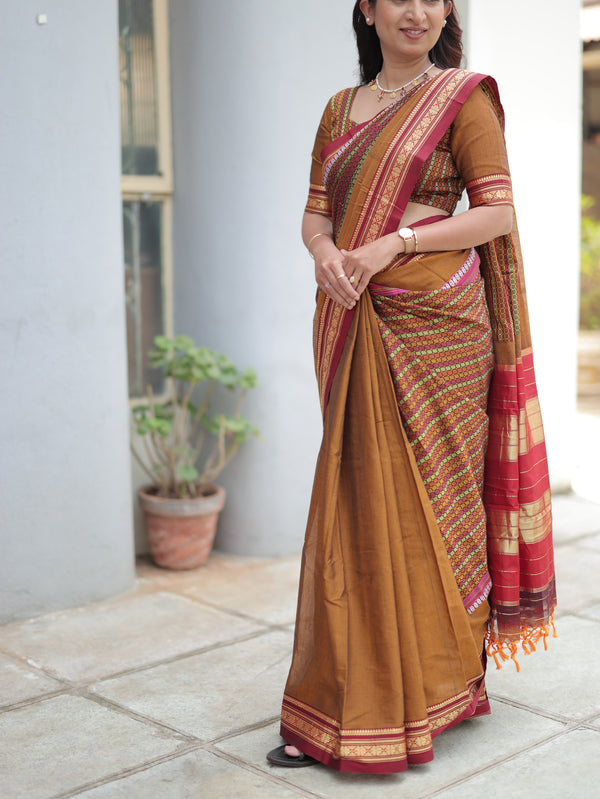 Parampara Ilkal Saree