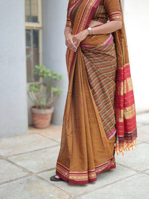 Parampara Ilkal Saree