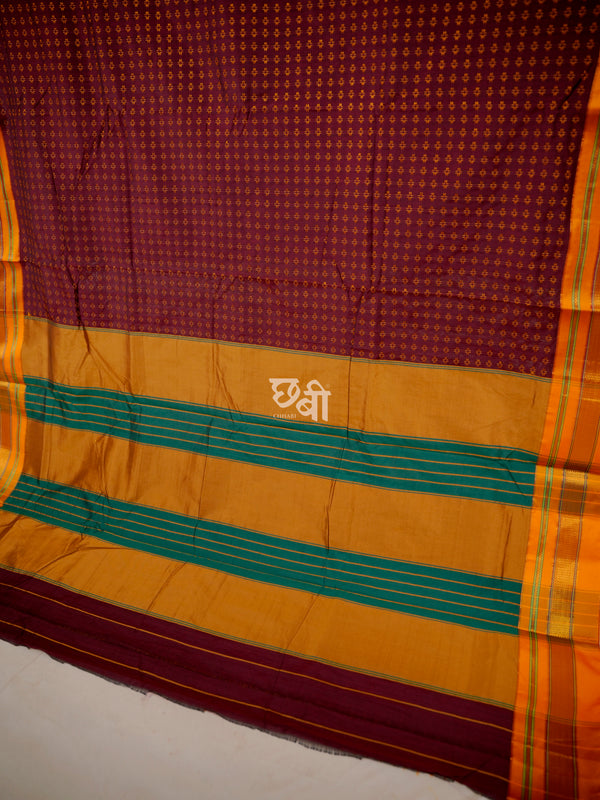 Chandani Ilkal Saree