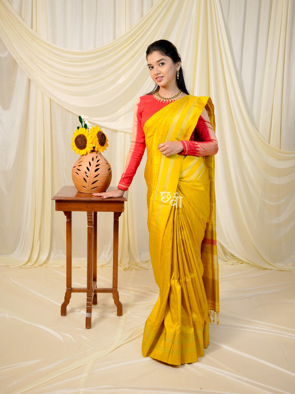 Chhabi's Signature Kimaya Ilkal